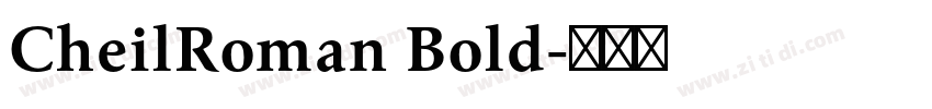 CheilRoman Bold字体转换